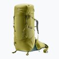 Plecak trekkingowy deuter Aircontact Core 70+10 l cactus/ ivy 2