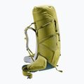 Plecak trekkingowy deuter Aircontact Core 70+10 l cactus/ ivy 5