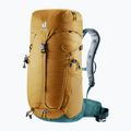 Plecak turystyczny deuter Trail 24 l almond/deepsea 2