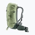 Plecak turystyczny deuter Trail 30 l grove-ivy 4