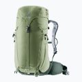 Plecak turystyczny deuter Trail 30 l grove-ivy 12