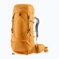 Plecak trekkingowy deuter Aircontact Lite 40 + 10 l amber-maple 11