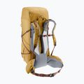 Plecak trekkingowy deuter Aircontact Ultra 50 + 5 l savanna-raisin 5