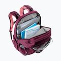 Plecak miejski deuter Cotogy 28 l cassis/dahlia 11
