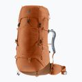 Plecak trekkingowy damski deuter Aircontact Lite 45 + 10 l SL pecan/mocha 2