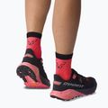 Skarpety DYNAFIT Alpine Short fluo coral 3