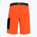 Spodenki trekkingowe męskie Salewa Pedroc Cargo 2 red/orange 5