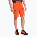 Spodenki trekkingowe męskie Salewa Pedroc Cargo 2 red/orange
