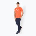 Koszulka męska Salewa Solidlogo Dry red/orange melange 2
