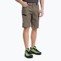 Spodenki trekkingowe męskie Salewa Lavaredo Hemp bungee cord