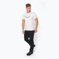 Koszulka trekkingowa męska Salewa Lines Graphic Dry optical white 2