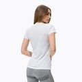 Koszulka trekkingowa damska Salewa Lines Graphic Dry optical white 3