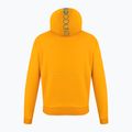 Bluza wspinaczkowa męska Wild Country Flow 2 Hoody nectar/5010 6
