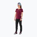 Koszulka trekkingowa damska DYNAFIT Traverse 2 beet red