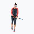 Longsleeve do biegania damski DYNAFIT Alpine Pro blueberry/hot coral
