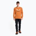 Longsleeve trekkingowy męski Salewa Solidlogo Dry autumnal melange 2