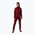 Bluza trekkingowa damska Salewa Lavaredo Hemp Hooded syrah