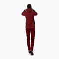 Bluza trekkingowa damska Salewa Lavaredo Hemp Hooded syrah 2