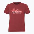 Koszulka trekkingowa dziecięca Salewa Simple Life Dry syrah melange