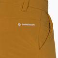 Spodnie softshell męskie Salewa Puez DST Cargo golden brown 3