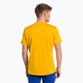 Koszulka trekkingowa męska Salewa Puez Hybrid 2 Dry gold melange 3
