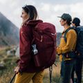 Kurtka softshell damska Salewa Agner DST syrah 14