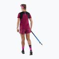 Koszulka do biegania damska DYNAFIT Sky beet red 2