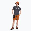 Spodenki wspinaczkowe męskie Salewa Lavaredo Hemp Ripstop autumnal 2