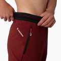 Spodnie trekkingowe damskie Salewa Pedroc 2 DST 2/1 syrah 5