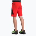 Spodenki trekkingowe męskie Salewa Pedroc 3 DST Cargo flame/0910 3