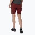 Spodenki trekkingowe damskie Salewa Pedroc DST syrah 2