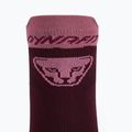 Skarpety DYNAFIT Transalper burgundy 4