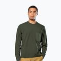 Bluza męska Salewa Fanes Dry Pullover dark olive