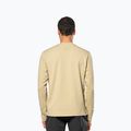Bluza męska Salewa Fanes Dry Pullover quicksand 3