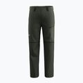 Spodnie trekkingowe męskie Salewa Puez Hemp/Dst 2/1 dark olive 7