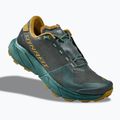 Buty do biegania męskie DYNAFIT Ultra 100 GTX lichen/alantic 10