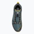 Buty do biegania męskie DYNAFIT Traverse GTX lichen/atlantic 5