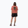 Koszulka damska Salewa Eagle Sunset Loose etruscan red 3