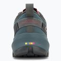 Buty do biegania damskie DYNAFIT Traverse GTX lichen/atlantic 6