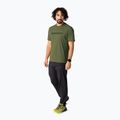 Koszulka trekkingowa męska Dynafit Traverse T-Shirt military green 2