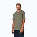 Koszulka męska Salewa Pedroc Dry Light faded green