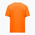 Koszulka męska Salewa Pedroc Dry Light turmeric 2