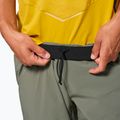 Spodnie trekkingowe męskie Salewa Pedroc 3 DST Light faded green 4
