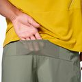 Spodenki trekkingowe męskie Salewa Pedroc DST Light faded green 5