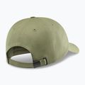 Czapka z daszkiem Salewa Graphic faded green 2