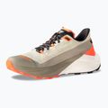 Buty do biegania męskie DYNAFIT Ultra 100 V3 rock khaki/overcast 9