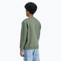 Bluza męska Alpha Industries Basic dark olive 5