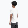 Koszulka męska Alpha Industries Basic Mid Logo white 5