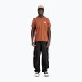 Koszulka męska Alpha Industries Basic Small Logo hazel brown 2