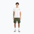 Koszulka męska Alpha Industries Pearl Harbor Back Print white 2